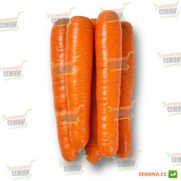 Фидра F1 семена моркови Нантес. (калибр больше 1,6) (Rijk Zwaan)