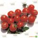 Міні Бол F1 насіння томата індет. чері (NongWoo Bio)