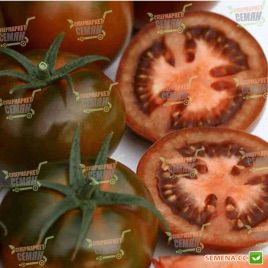 Биг Сашер F1 (132-283) семена томата индет. раннего окр. 250-300 гр. черн. (Yuksel)
