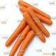 Болеро F1 семена моркови Нантес (Vilmorin)