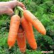 Диаменто F1 семена моркови Шантане средней 100-110 дн. (Vilmorin)