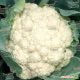 Униботра семена капусты цветной средней 80-90 дн. 2-2,5 кг бел. (Satimex КЛ)