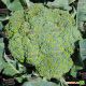 Стромболи F1 семена капусты брокколи ранней 65-70 дн. (Hazera)