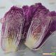 Ямада F1 (КС 888 F1) семена капусты пекинской средней 60-65 дн 1-1,5кг фиол. (Kitano Seeds)