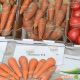 Абако F1 (Abaco F1) семена моркови Шантане (2,4-2,6) ранней 90 дн. (Seminis)