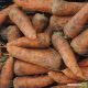 Каскад F1 семена моркови Шантане PR (2,0-2,2 мм) (Bejo)
