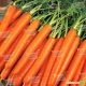 Анжеліка F1 насіння моркви Нантес 100 дн. (Erste Zaden)