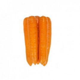 морква фідра f1