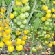 Голдвин F1 семена томата индет. черри 65-70 дн. 20-25г желтый (Clause)