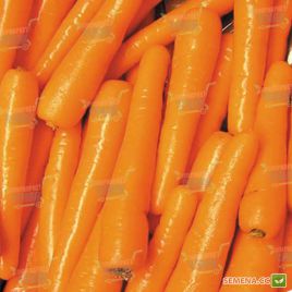 Люсия F1 семена моркови Нантес (Agri Saaten)