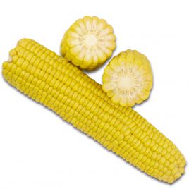 1708 F1 семена кукурузы суперсладкой Sh2 ультраранней 78 дн. 26 см (Lark Seeds)