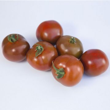 КС 3900 F1 (KS 3900 F1) насіння помідора індетермінантного (Kitano Seeds)