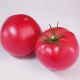 Фінлі F1 (КС 1205 F1) насіння помідора індетермінантного (Kitano Seeds)