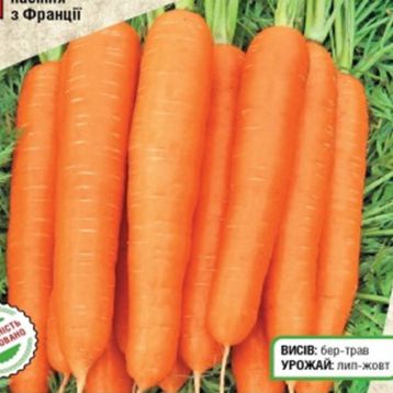 морковь тип топ