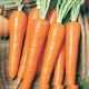 Роте Ризен семена моркови поздней 21-24 см (Servise plus (GSN) СДБ)