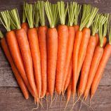 Без серцевини насіння моркви (Професійне насіння)