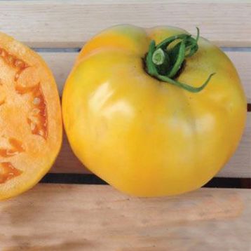 Єлоу Чир F1 насіння томату дет. жовтий. (Dorsing Seeds)