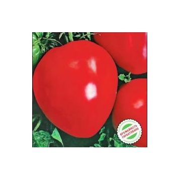 Волове серце насіння томата (Satimex)