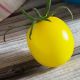 Золотой шар семена томата индет. среднераннего 106-110дн 150г окр. желт. (Професійне насіння)