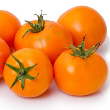 Оранж семена томата дет. среднего 100-110дн. 90-150г окр.-прип. оранж.(Професійне насіння)