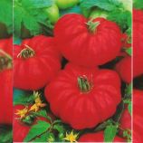 Фиорентинский семена томата дет. ребристого (Euroseed)