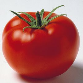 Джем F1 (Jem F1) семена томата дет. среднего 70-75 дн. окр. 200-250г красный (Ergon seeds)