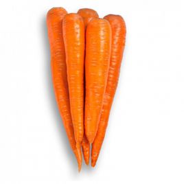 Вармія F1 (1,8-2,0) насіння моркви (Rijk Zwaan)