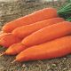 Корина семена моркови Нантес/Шантане (Moravoseed)