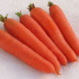 Цидера семена моркови Нантес (Moravoseed)