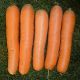 Анина семена моркови Нантес (Semo)