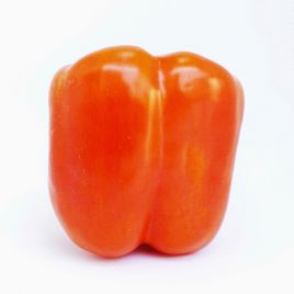 Паннакотта F1 (Панакота F1) семена перца сладкого тип Долма куб 250-280г 8х7 см 3-4-х камер 7-9 мм оранж (Ergon seeds)