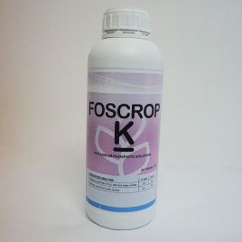 Фоскроп Калій (Foscrop K) стимулятор росту (Forcrop)