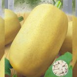 Болгарка семена тыквы средней 105-150 дн. цилиндр. 3-5 кг св.-желт. (Seedera)