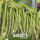 Хеминез семена фасоли спаржевой вьющейся зеленой (Seedera)