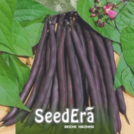 Парпл Пипи семена фасоли спаржевой кустовой фиолетовой (Seedera)