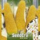 Пинг Понг семена кукурузы попкорн среднеспелой до 15 см (Seedera)