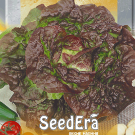 Четыри сезона семена салата тип Маслянистый крас. (Seedera)