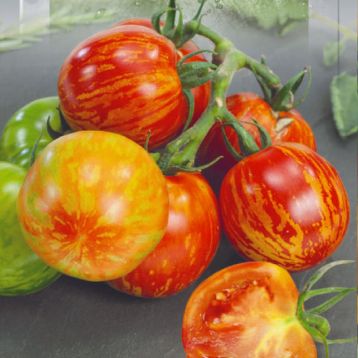 Вернисаж красный семена томата индет. среднего окр. 40-60г полосат. красн. (Seedera)