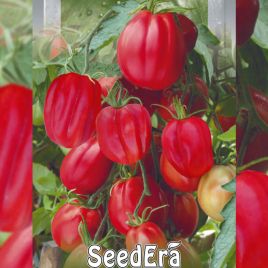 Этуаль семена томата индет. среднего ребр. 150-300г розов. (Seedera)