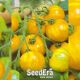 Зебра жовта насіння помідора індетермінантного (Seedera)