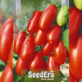 Медок семена томата индет. среднего перцев. 80-100г крас. (Seedera)
