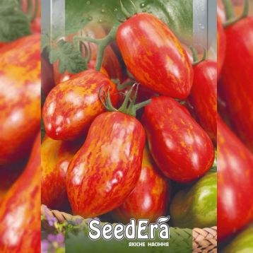 Полосатая слива семена томата индет. раннего 90-120г полосат. красно-оранж. (Seedera)