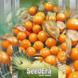 Ананасовый семена физалиса (Seedera)