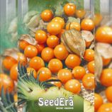 Ананасовий насіння фізаліса (Seedera)