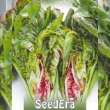 Щербет насіння салатного цикорію тип Радіччіо (Seedera)