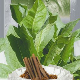 Дюбек семена табака курительного (Seedera)