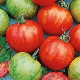 Тигрелла насіння помідора індетермінантного (Семена Украины)
