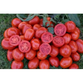 1311 F1 семена томата дет. среднего слив. 85-95гр (Lark Seeds)