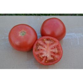 1810 F1 насіння томату індет. раннього 85дн. окр. 180-200гр. троянда. (Lark Seeds)