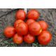 1855 F1 насіння томата детермінантного (Spark Seeds)